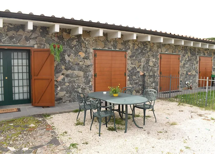 Al Borgo - Tenuta Borsari