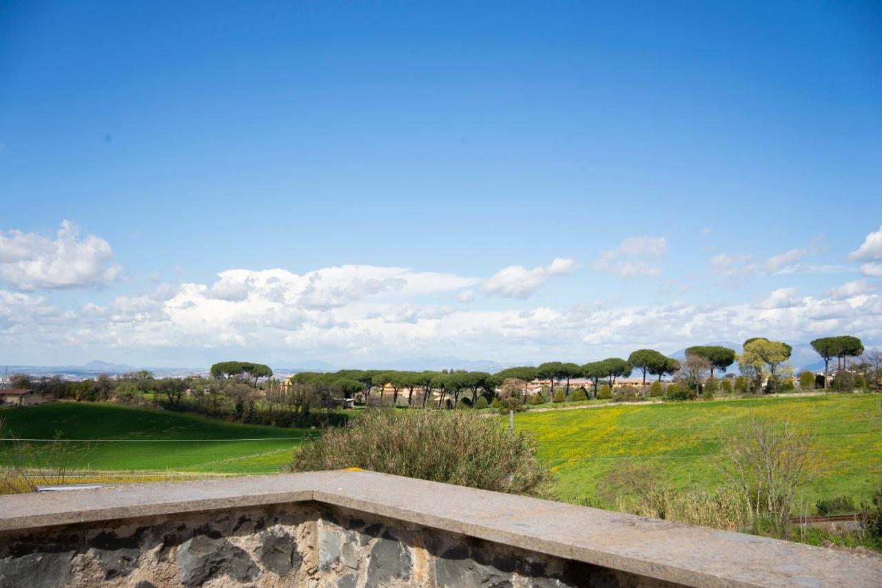 Tenuta Borsari *